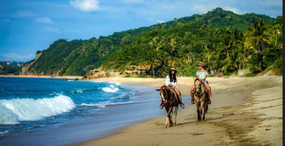 Beach_horses_2025-04-05112002