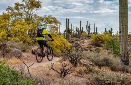 biking_shutterstock_1405437722