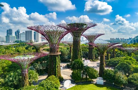 gardens_by_bay_shutterstock_2504547231